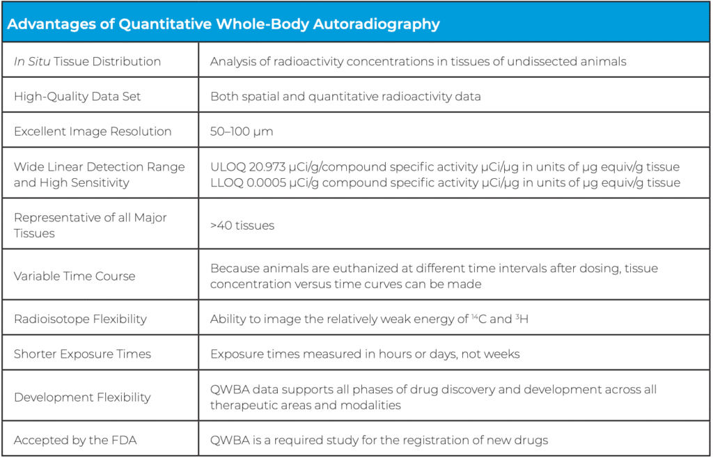 Whole-Body Autoradiography